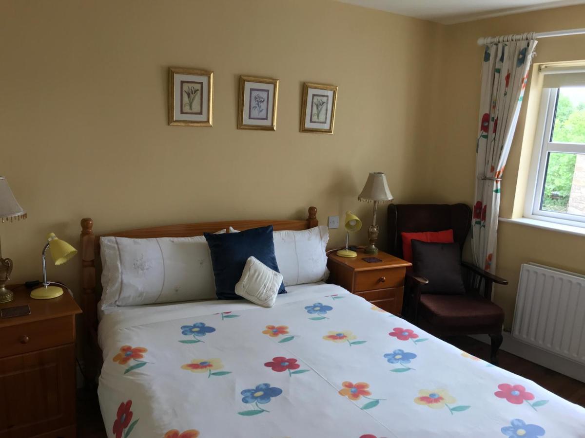 Teac Seain Bar & Bnb Anascaul Kültér fotó