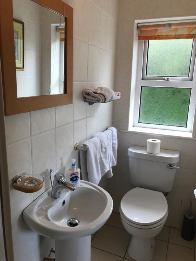 Teac Seain Bar & Bnb Anascaul Kültér fotó