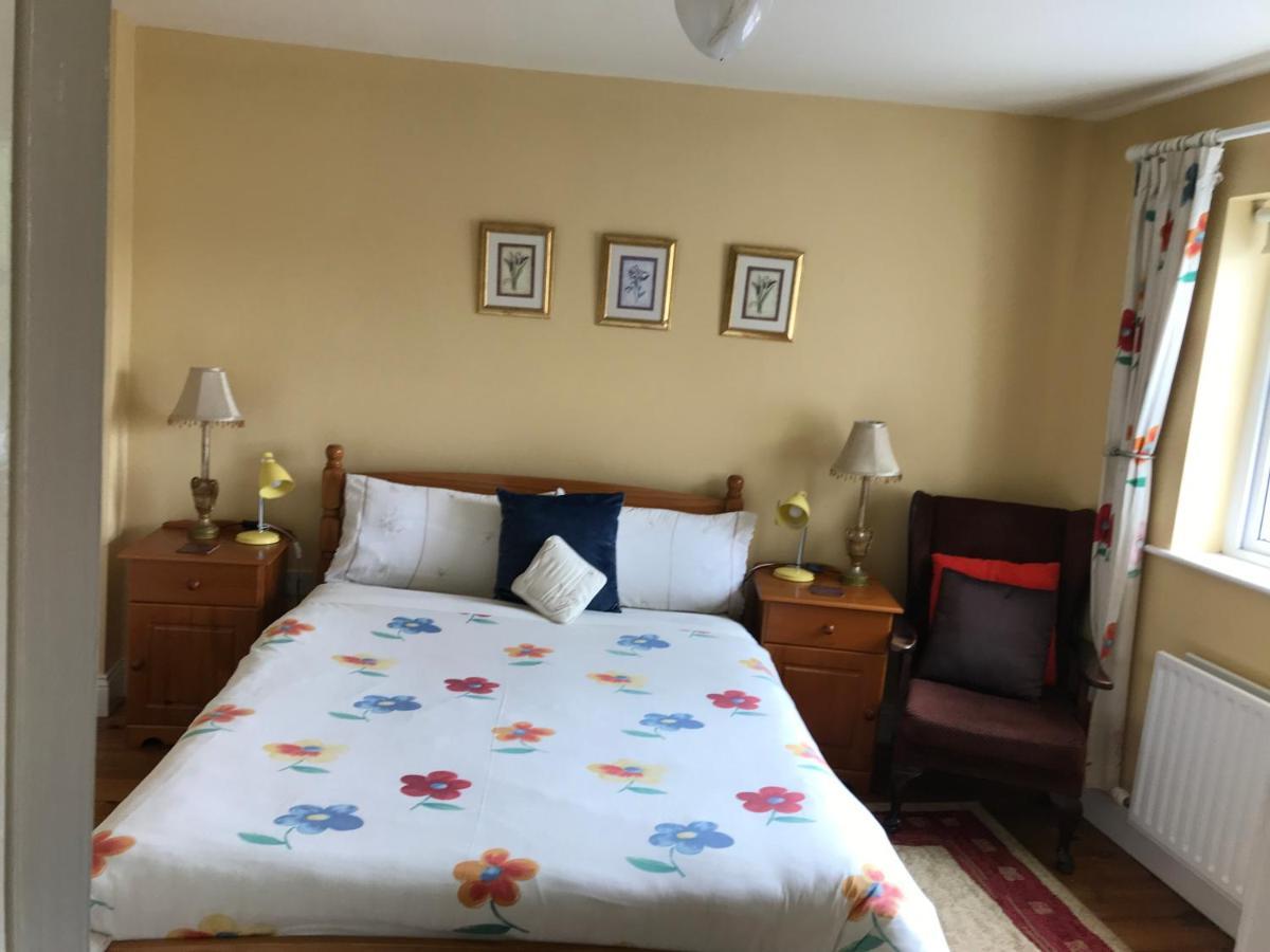 Teac Seain Bar & Bnb Anascaul Kültér fotó